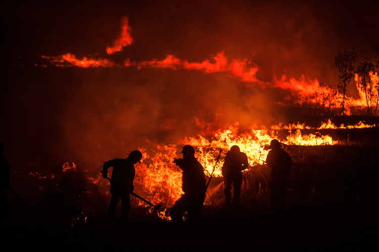 1. Se esperaba una temporada atípica de incendios, pero la realidad sobrepasa el pronóstico: en lo que va del año se han generado 400 en el estado. (Foto: Jorge Alberto Mendoza)