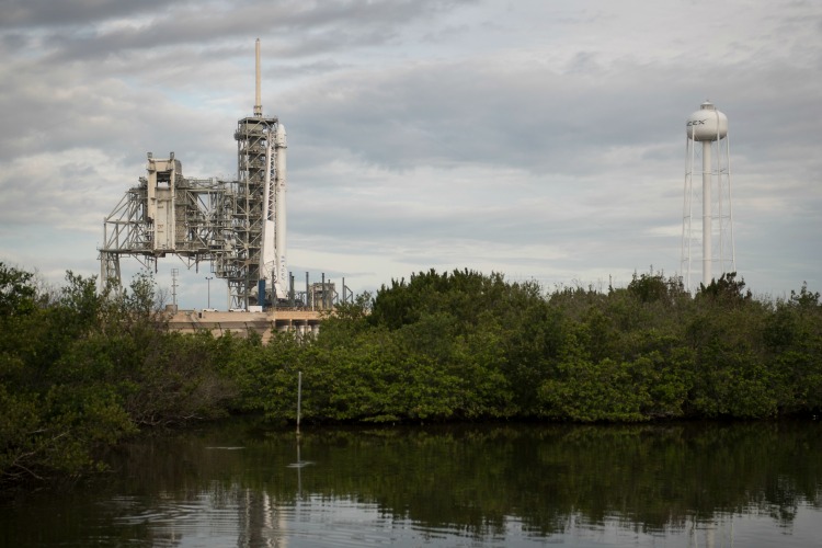 Space X lanzó al espacio su primera cápsula de suministros reutilizable