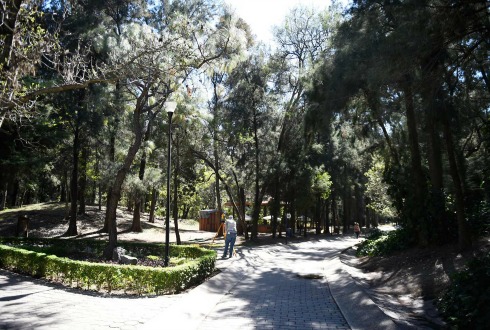 Balean a un hombre dentro del Bosque Los Colomos