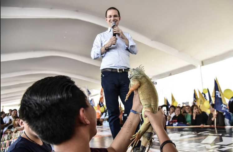 Si no fuera candidato votaría por Zavala: Anaya