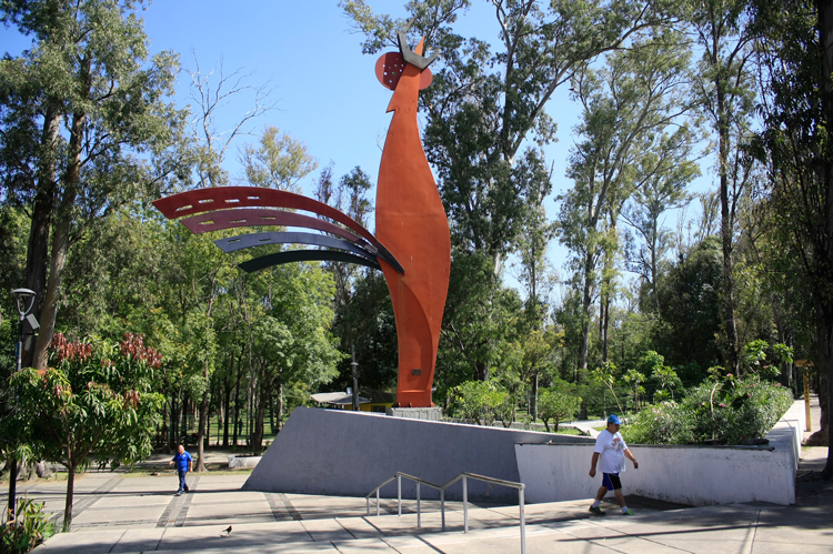 Isla verde. El Parque González Gallo pertenece a la Red de Bosques Urbanos de Guadalajara; la vegetación y fauna que alberga es muy variada. (Foto: Jorge Alberto Mendoza) 