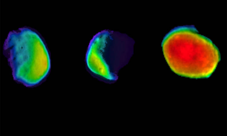 NASA muestra imágenes espectaculares de Luna llena en Marte NASA muestra imágenes espectaculares de Luna llena en Marte