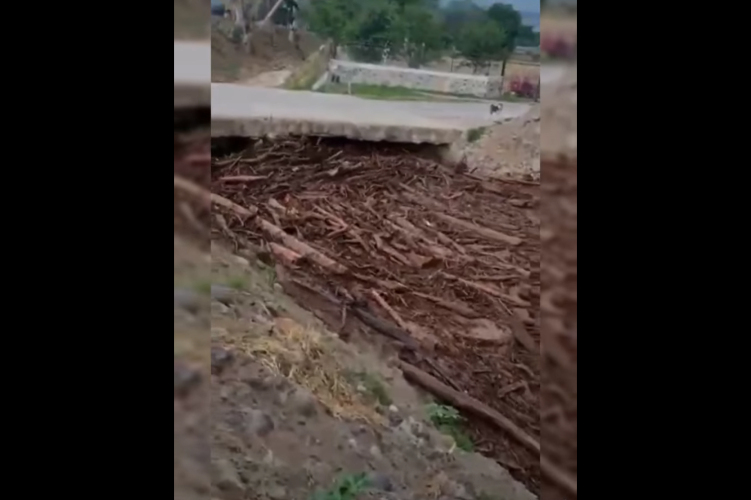 Ciudadanos vigilan creciente del río Salsipuedes; de nuevo arrastra madera