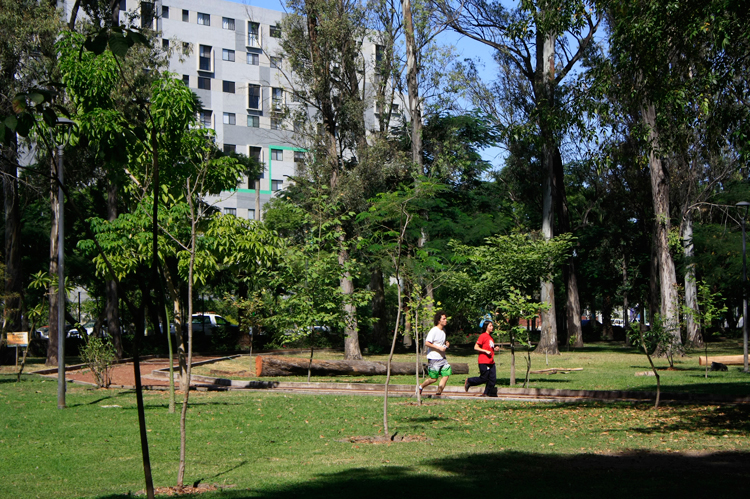 Isla verde. El Parque González Gallo pertenece a la Red de Bosques Urbanos de Guadalajara; la vegetación y fauna que alberga es muy variada. (Foto: Jorge Alberto Mendoza) 