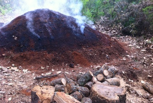Profepa clausura horno rústico de carbón vegetal en Jalisco | NTR  Guadalajara