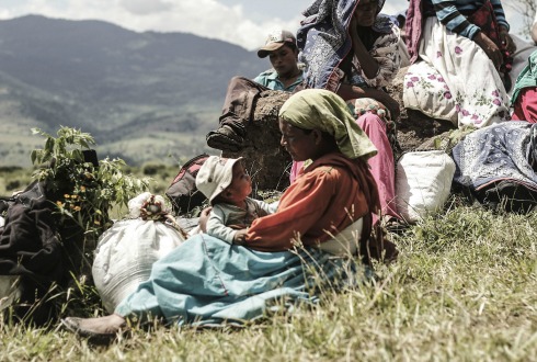 Exigen resolución de conflicto de tierras - El Diario NTR | NTR Guadalajara