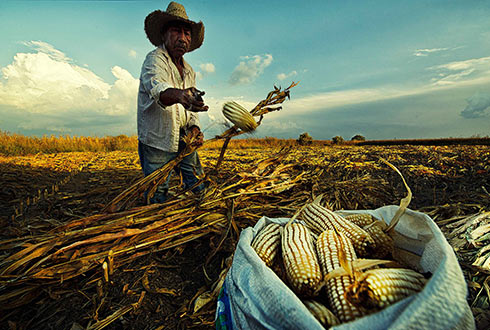 Piden sacar al sector agropecuario del TLCAN