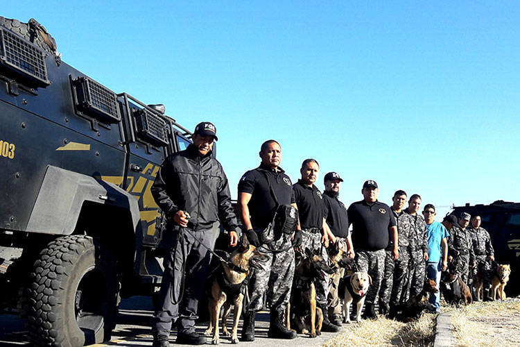 Unidad canina de fiscalía conformada por perros adoptados