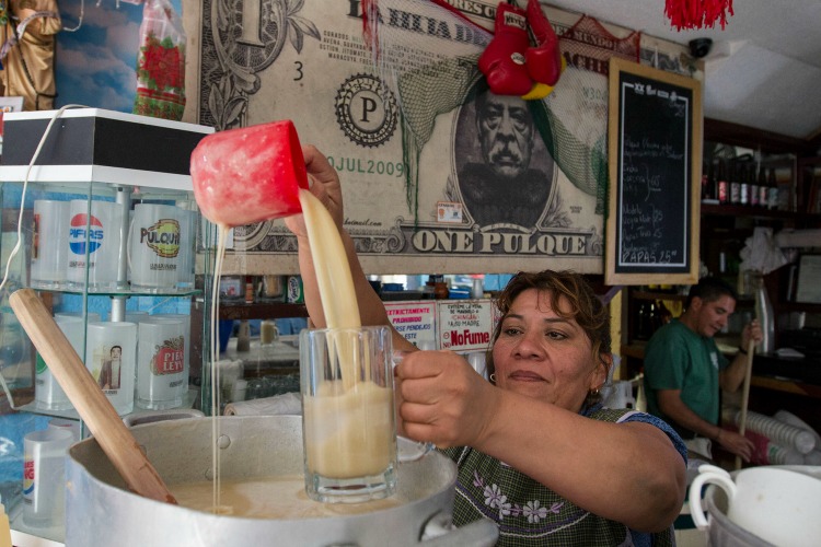 Tarímbaro, capital michoacana del pulque