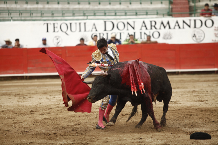 Sólo buena voluntad