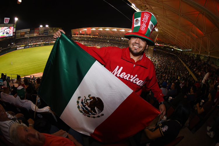 Beisbol latino, por sus nuevos héroes