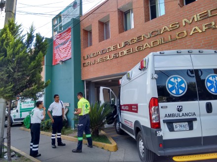 Niños se intoxican por comer semillas de San Ignacio