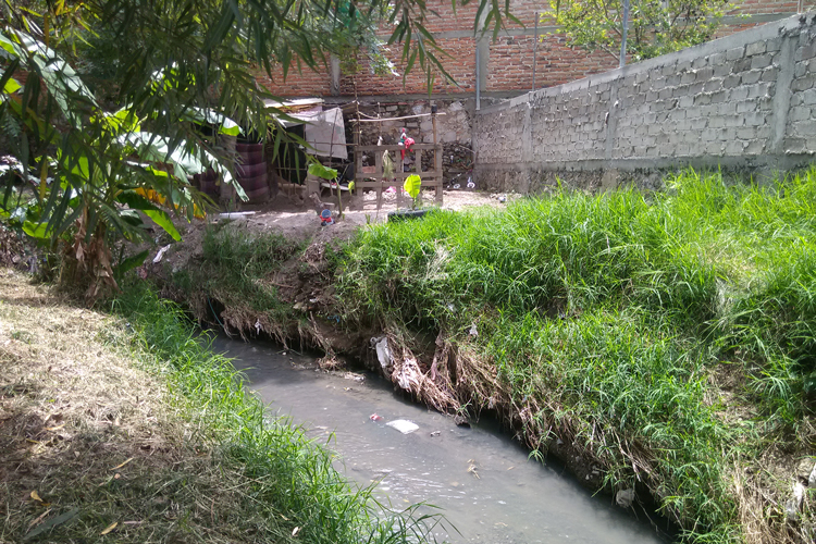 Publican reglas del Fondo Ambiental