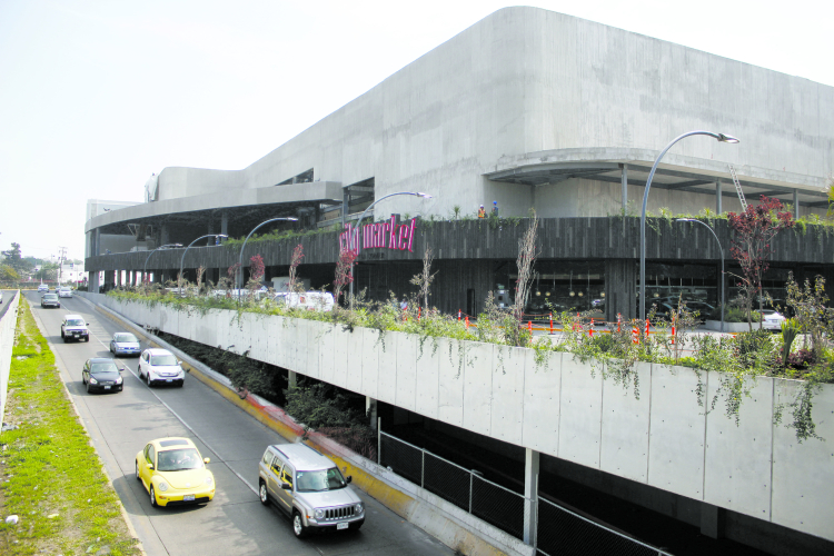 Plaza Patria Crecio 77 Pese A Riesgos Ntr Guadalajara