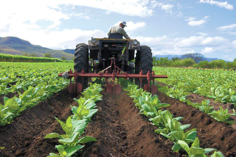 Jalisco destaca en aportación del PIB nacional NTR