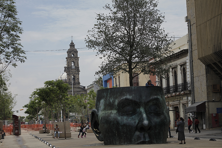 'Árbol adentro' gana adeptos entre turistas
