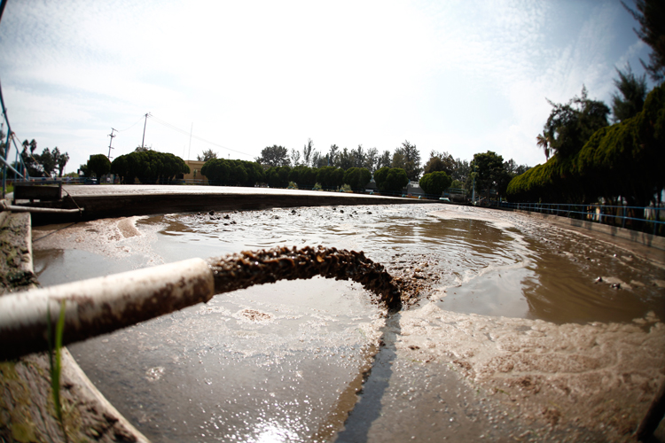 Mitad de municipios no sanea aguas negras