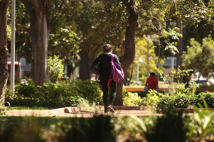 Adecúan reglamento del instituto de la mujer