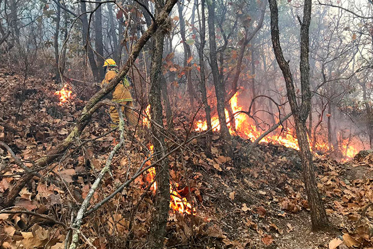 Quitan alerta atmosférica en Zapopan