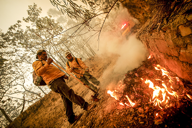 Incendios lastiman a trece brigadistas