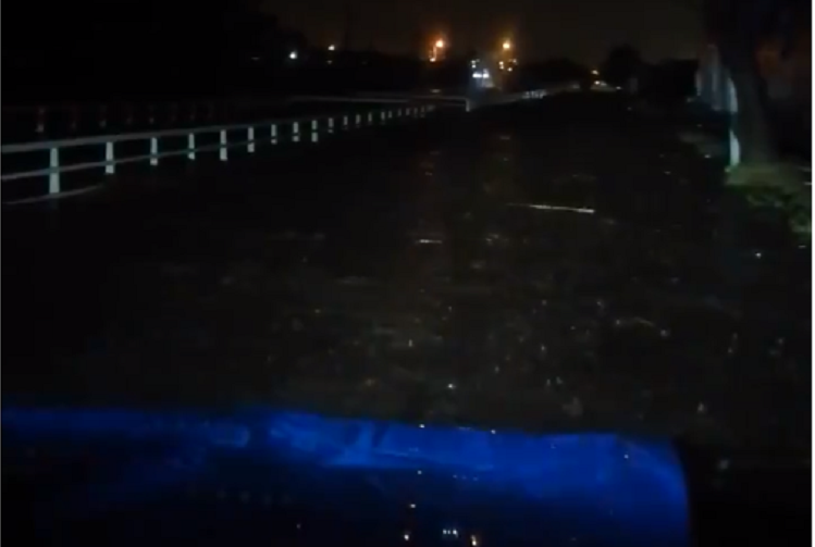 Árboles caídos y leves inundaciones deja lluvia en Tlajomulco