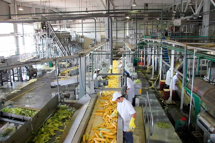 Sector manufacturero de Jalisco crece: IIEG