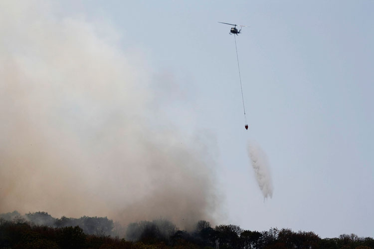 Contra el fuego, un plan desde lo local