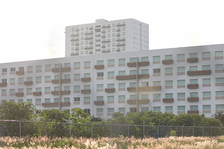 Buscan que Villas Panamericanas sean laboratorio botánico