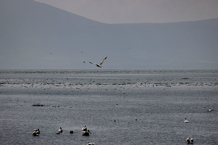 Chapala recupera un tercio de agua de 2018
