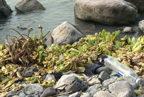 Contaminación de agua y cultivos daña salud de habitantes de Autlán
