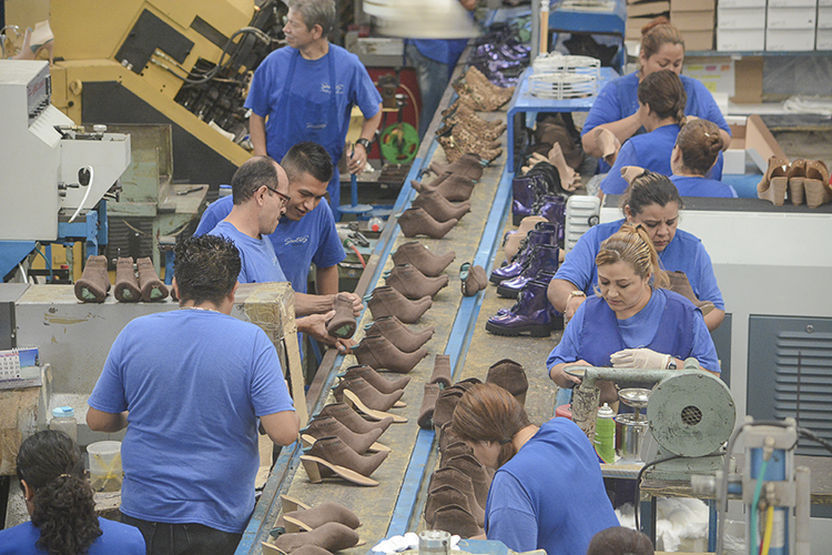 Zapateria senties 2025