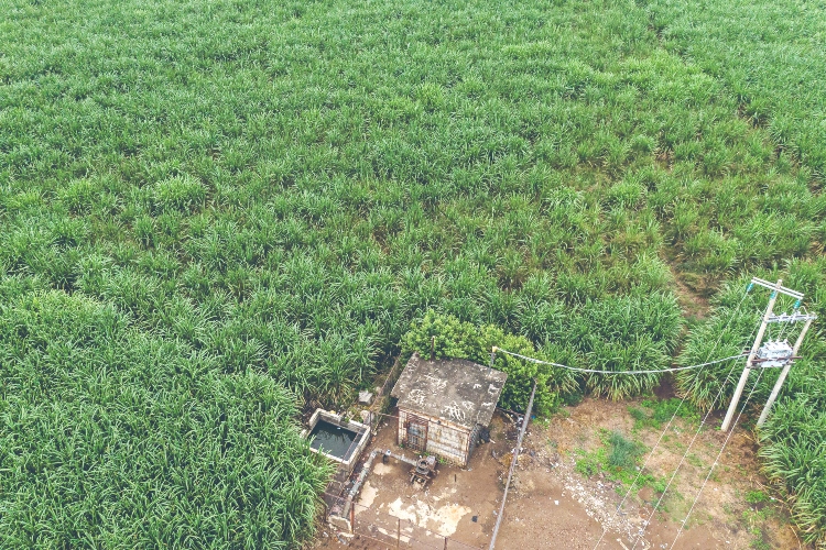 Conagua favorece a empresas  