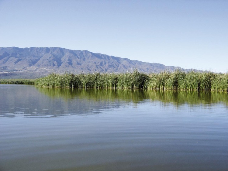 Conmemorarán Día de los Humedales con actividades en la presa La Vega 