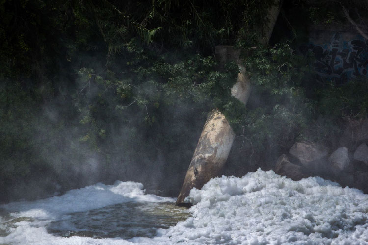 CEDHJ acepta trabajar en conjunto con Enrique Alfaro contra la contaminación del Santiago