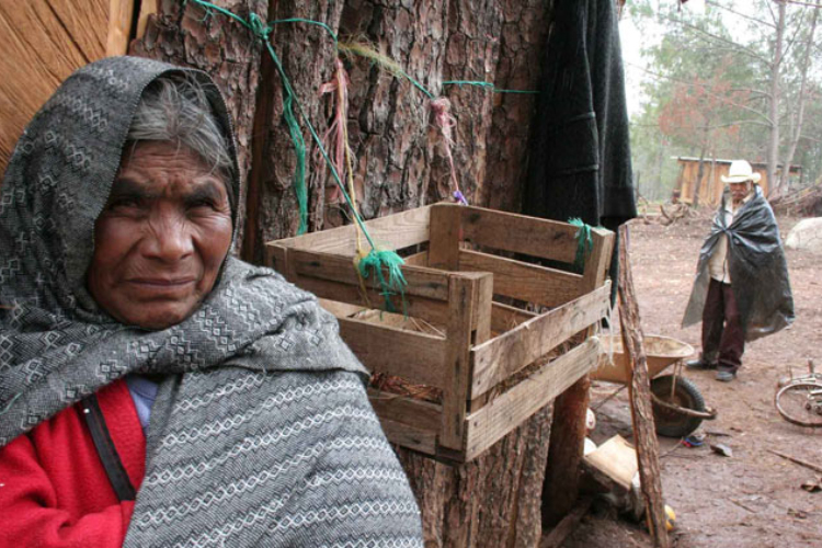 16 millones de mexicanos cayeron en pobreza extrema por Covid-19: UNAM ...