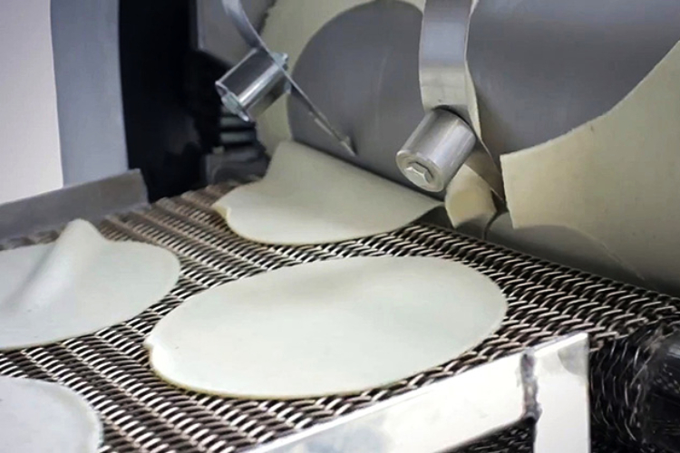 La evolución de la tortilla | NTR Guadalajara La evolución de la tortilla | NTR Guadalajara