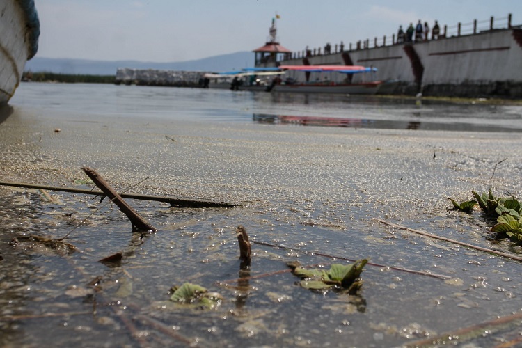 Autoridades jaliscienses carecen de capacitación en normativa medioambiental