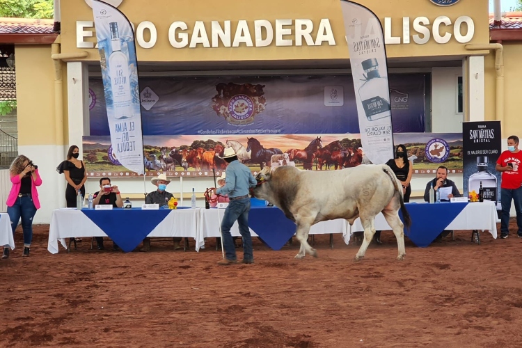 Anuncian edición 57 de la Expo Ganadera NTR Guadalajara