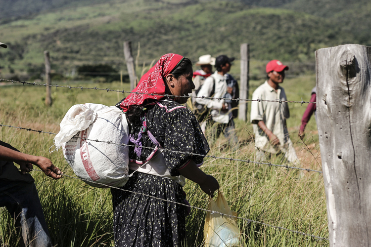 Comunidad Nahua de Ayotitlán renacerá este domingo