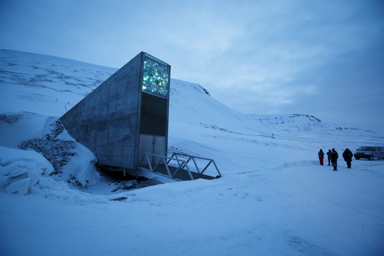 Fotografía de archivo, que muestra una vista general de la entrada de la Bóveda Global de Semillas de Svalbard (SGSV), en las afueras de Longyearbyen (Noruega). (Foto: Cortesía EFE).