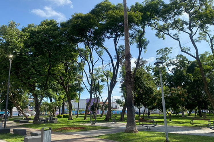 Enfocan en turistas plan de repoblación