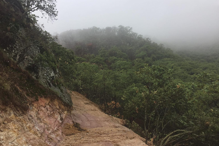 Sierra de Tesistán y El Tepopote, eslabones faltantes del anillo verde