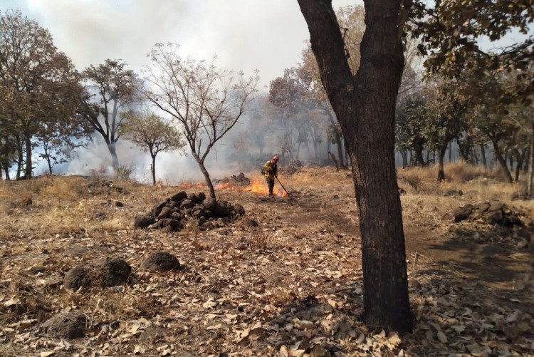 Por el incendio forestal, activan alerta atmosférica en Tala