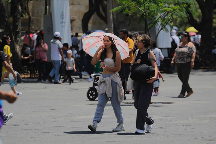 6 millones de personas afrontan sequía extrema