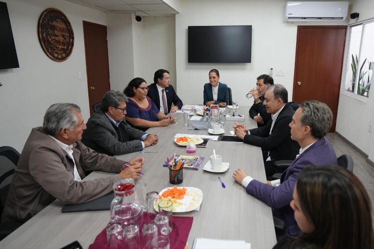 Morena llama a mantener la unidad tras elección interna - El Diario NTR ...