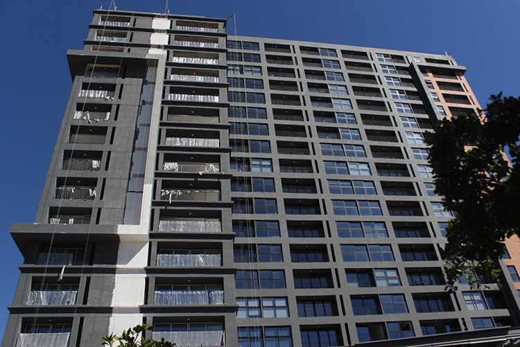 Dan 167 licencias por plan de repoblamiento