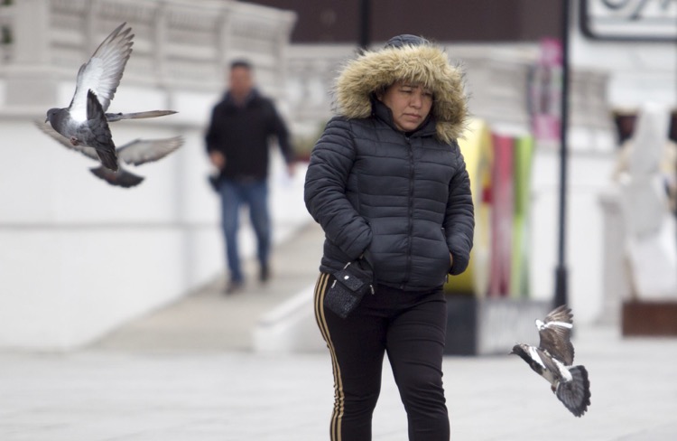 Entrada del frente frío 34 mantendrá condiciones para caída de nieve en norte de México