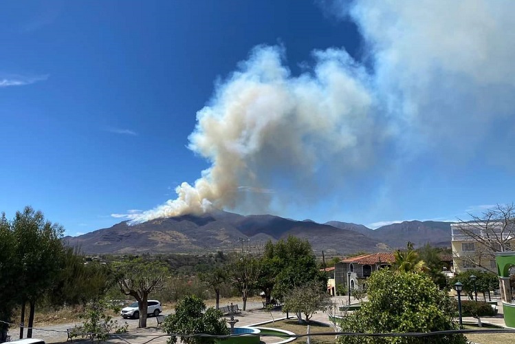 Combaten 82 brigadistas incendio en Sierra de Quila 