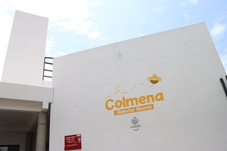 Renuevan Colmena Rancho Nuevo en Guadalajara