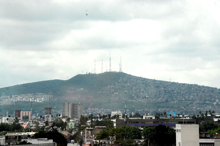 Luciérnagas serán vistas por última vez en el Cerro del Cuatro